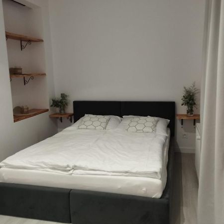 Appartement Zloty Zakatek à Złoty Stok Extérieur photo